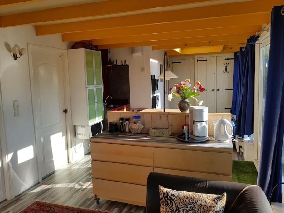 Out Of Amsterdam, River Apartment Close To City Broek in Waterland Kültér fotó