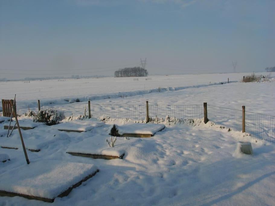 Out Of Amsterdam, River Apartment Close To City Broek in Waterland Kültér fotó